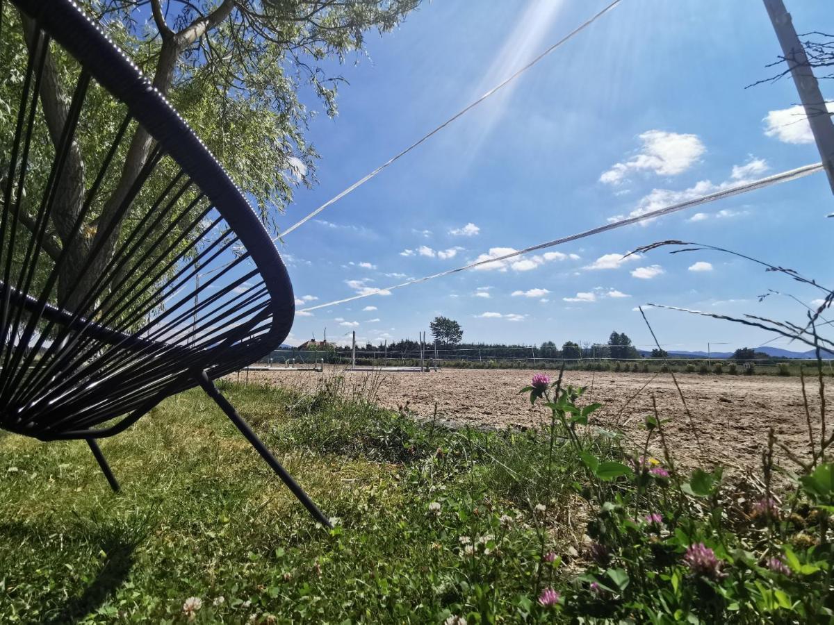 Podkowa Modliszow Villa Exteriör bild